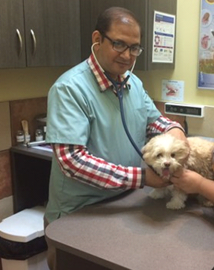 Dr. Sharma