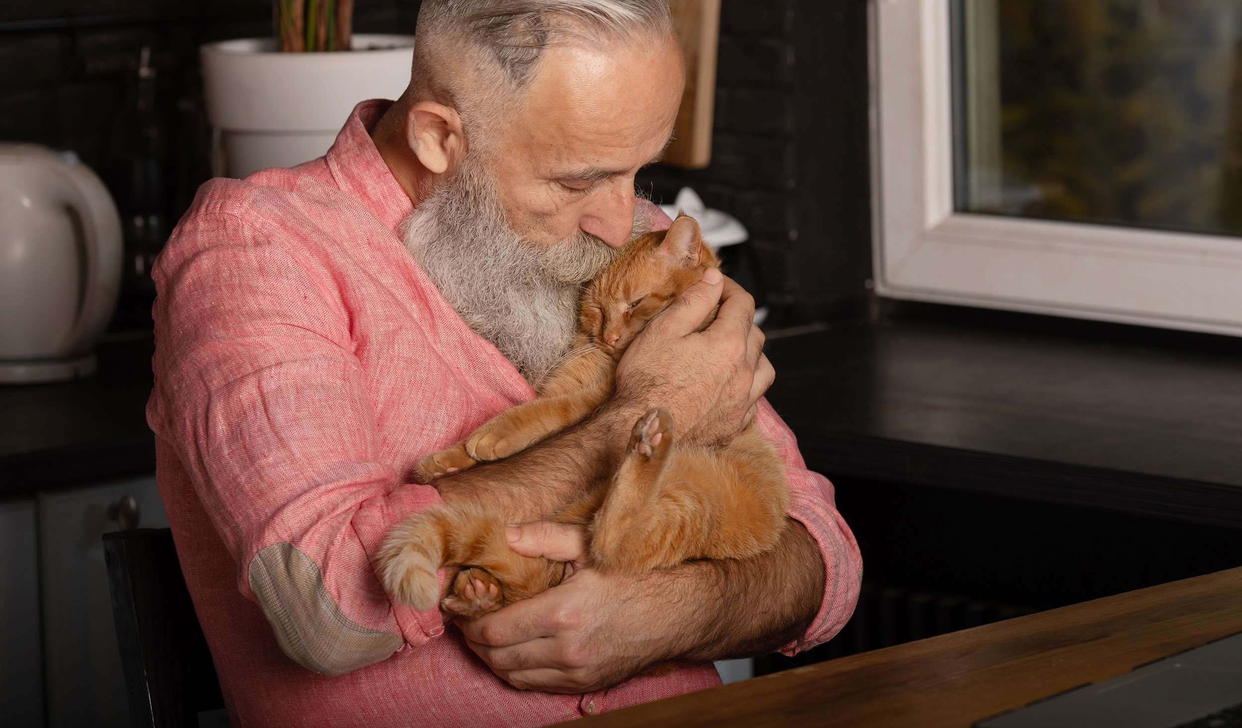 Elderly Person Holding Orange Cat